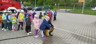 IMG_20250509_101554.jpg