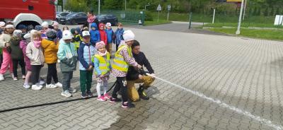 IMG_20250509_101647.jpg