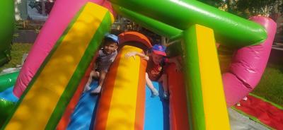 IMG_20250605_091056.jpg