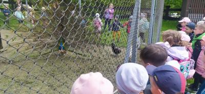 IMG_20260518_130846.jpg