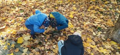 IMG_20261023_104945.jpg